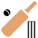 Cricket logo